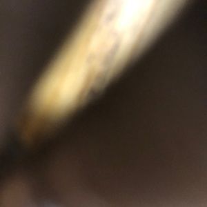 Meet your Posher, Gracie